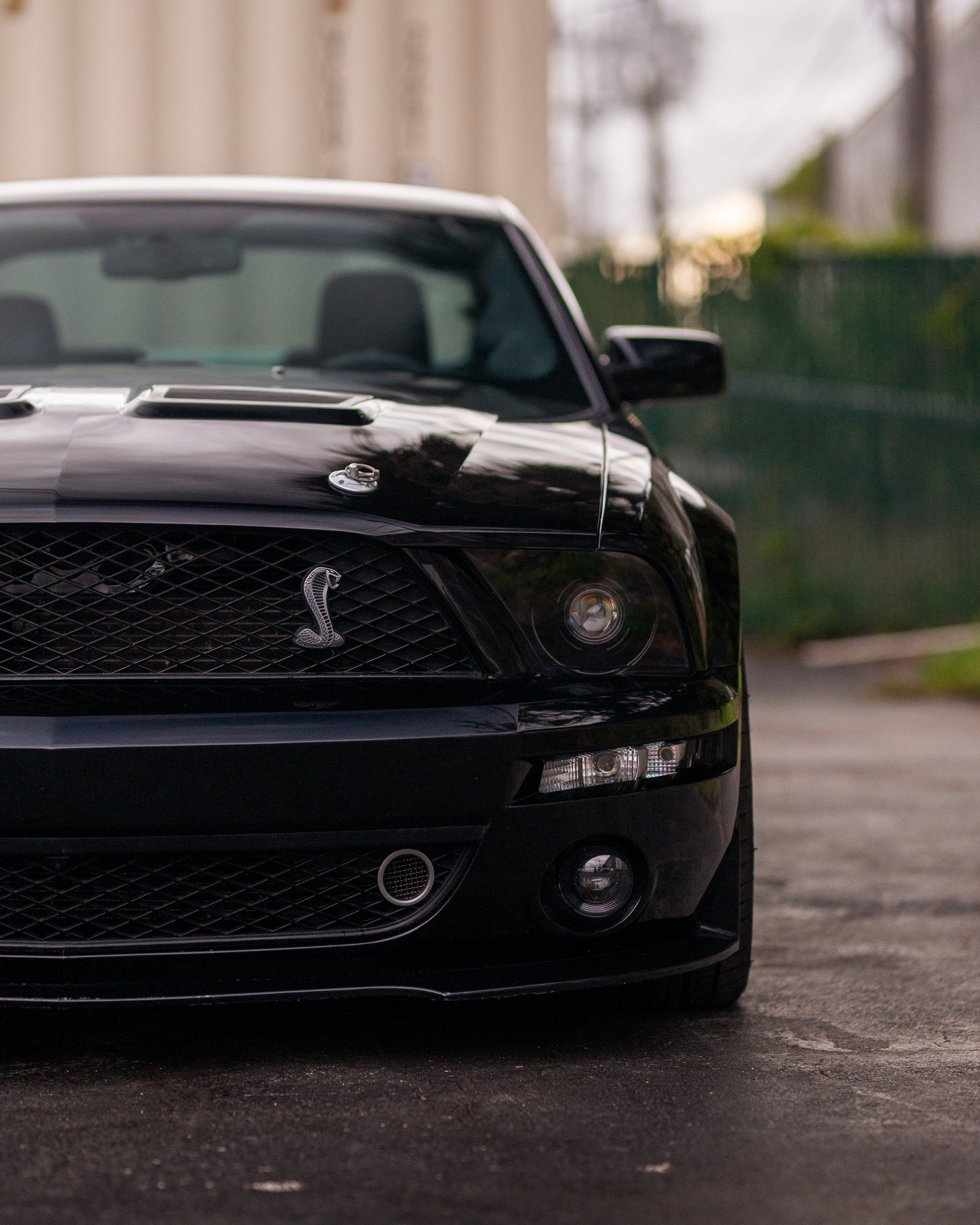 SOLD! 2009 Shelby GT500 MODIFIED